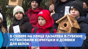 В сквере на улице Лазарева в Губкине установили кормушки и домики для белок
