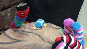 "Медоу-гусеница, которая хотела научиться летать"