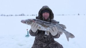 ТАКУЮ МАМКУ Я ЕЩЕ НЕ ЛОВИЛ!!!