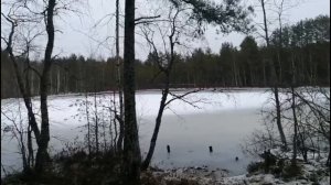 Варили холодец в печи 🍀 Прогулка по лесу 🍀
КАРЕЛИЯ ❤️