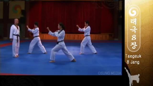 Taegeuk 08 Pal Jang (Kyu Hyung Lee)