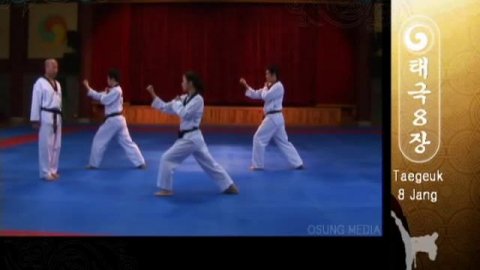 Taegeuk 08 Pal Jang (Kyu Hyung Lee)