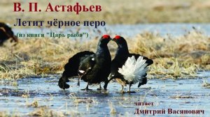 В. П. Астафьев. Летит чёрное перо (Царь рыба, 7 глава) Читает Дмитрий Васянович. Запись ноябрь 2025