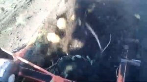 Уборка картофеля 2025.