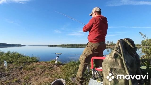 Рыбалка на фидер в Подмосковье Хлябово #рыбалканафидер #фидер #красота #лещ #плотва #окунь #fish