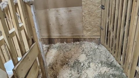 КОРМЛЮ КОЗ | ПОДСЫПАЮ ПОДСТИЛКУ В КОЗОВНИКЕ | ЗАБИРАЮ КОЗЛИКА МУРСИАНО ГРАНАДИНА ДЛЯ МАРТЫ