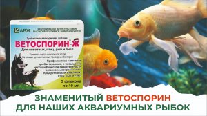 Рыбки не говорят, что им нужно. Но ветеринары понимают их без слов. Это Ветоспорин-Ж!