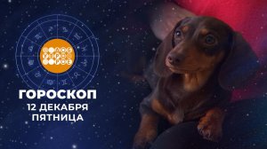 Гороскоп на 12 декабря для всех знаков зодиака