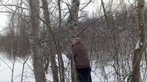 Нужно обнять берёзку,чтобы жизнь была счастливая.Правда в конце я провалился :)