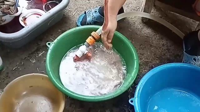 Чистка свиных кишок, подготовка колбасной оболочки.