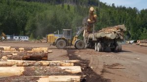 Экстремальные условия для лесовозов