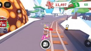 Адопт ми/зима 2025