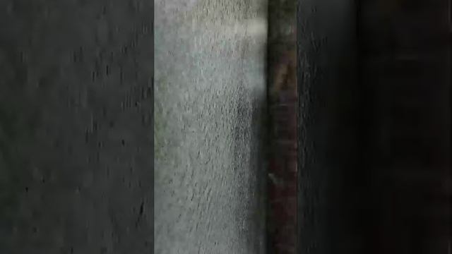 магнитная рыбалка с другом