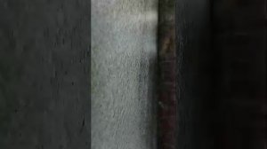 магнитная рыбалка с другом