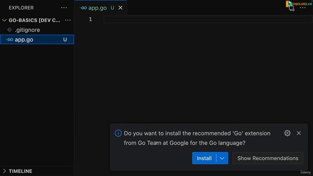 004 Local Code Editor Setup For Go Development