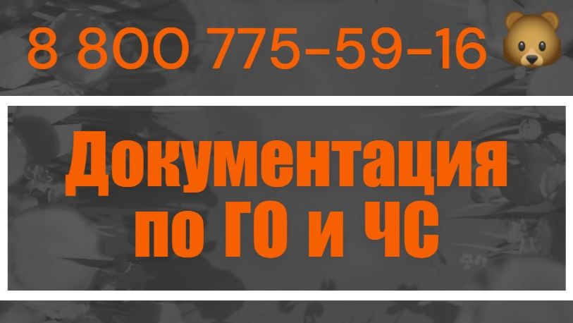 Документы по гражданской обороне и защиты от ЧС