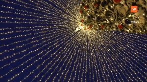 Программа «Город. Новости по-выборгски» от 11 декабря 2025 года