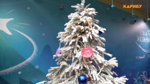 Новогодний шар с мечтой: «Елка желаний» стартовала в Магаданской области