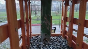 Дождь не помеха,аппетит 😋 хороший.