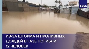 Из-за шторма и проливных дождей в Газе погибли 12 человек