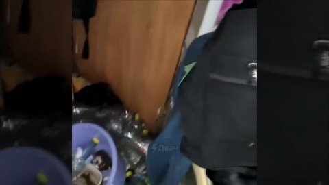 Российская альтушка превратила съёмную квартиру в свалку — среди мусора даже нашли мёртвую кошку