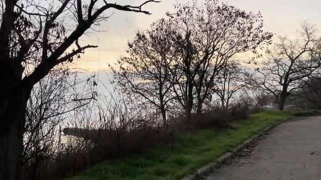 ОДЕССА 12 ДЕКАБРЯ 2025. ПОТЕРИ ВСУ ПЕРЕВАЛИЛИ ЗА 1 МЛН! УРСУЛА ПРЕДУПРЕЖДАЕТ ТРАМПА! УГРОЗЫ БЕЛЬГИИ!