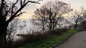 ОДЕССА 12 ДЕКАБРЯ 2025. ПОТЕРИ ВСУ ПЕРЕВАЛИЛИ ЗА 1 МЛН! УРСУЛА ПРЕДУПРЕЖДАЕТ ТРАМПА! УГРОЗЫ БЕЛЬГИИ!