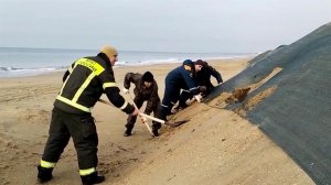 Собрано и утилизировано более 90% мазута, попавшего в Черное море год назад.