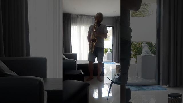 Estate cover sax