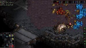 старкрафт мач