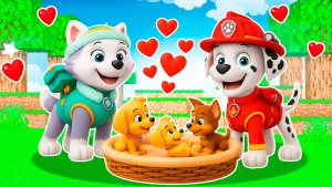 😳 ДЕВУШКА ЭВЕРЕСТ БЕРЕМЕННА от МАРШАЛА и РОДИЛА ЩЕНЯЧИЙ ПАТРУЛЬ в МАЙНКРАФТ PAW PATROL МУЛЬТИК