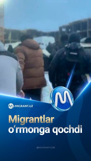 🔴 Mistolovoda reyd: migrantlar o‘rmonga qochdi