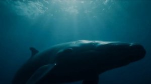 Музыка для души. (русский рок)