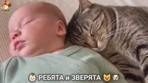 Ребята и зверята от ИИ милое видео для души и радости 👶🏻😺🐶 (2)