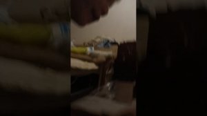 моя собака выполняет 16 заданий