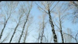 14 декабря - Наум на ум. Народные приметы и традиции