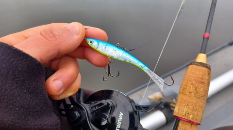 ТАКОГО КЛЁВА на балансир У МЕНЯ ЕЩЁ НЕБЫЛО! ЩУКА ОБЕЗУМЕЛА! Рыбалка на зимнюю удочку в 2025