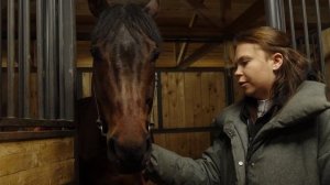 1 УРОК | ПОЛ ЛОШАДИ