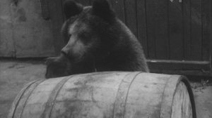 К/ж «Новости дня» (№ 50, 1962 г.), фрагмент.