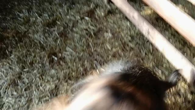 деревенская жизнь