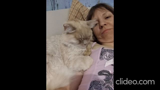 clideo_editor_531c4faa801a4dd8ac5624b867b70413