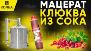 Мацерат из клюквенного сока на Wein 7 с ТЭНом