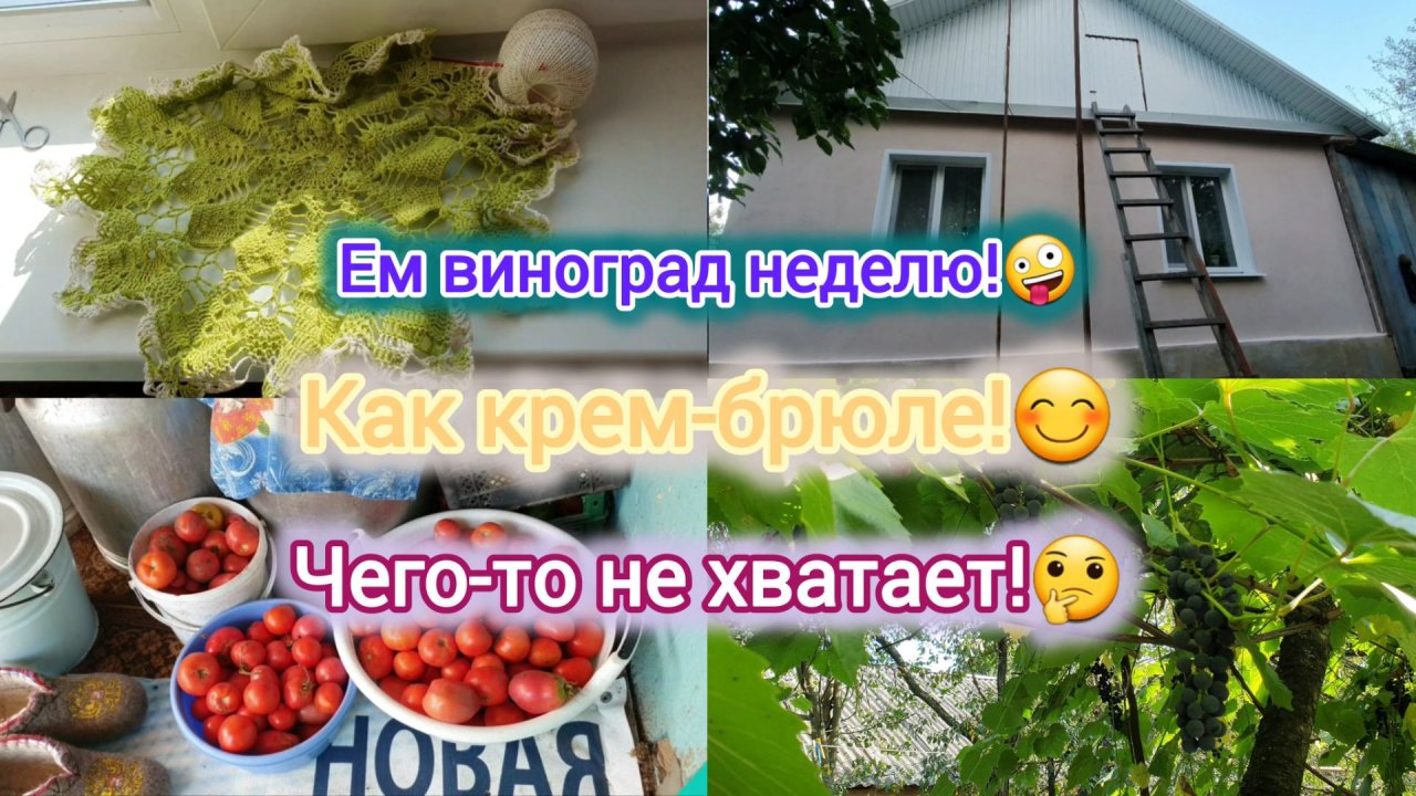 30.08.2024 Любимое ЯВЛЕНИЕ!⚡️⛈️А МЫ ЕГО НЕ ЖДАЛИ!🤨😄ПЕКЛО-ДАЖЕ КУРЫ СПРЯТАЛИСЬ!