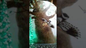 Зима. Музыкальная композиция