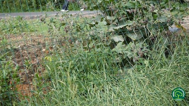 Крылатские холмы 22.07.25 г.