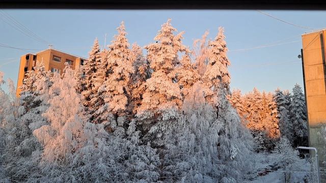 Утренняя зарядка)