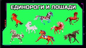 ЕДИНОРОГИ И ЛОШАДИ на зелёном экране. Хромакей футаж анимация GREEN SCREEN.