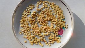 Советы по заготовке семян