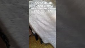 Шали из белого пуха