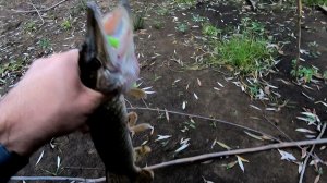 Щука на спиннинг в октябре. Вытащил провальную рыбалку